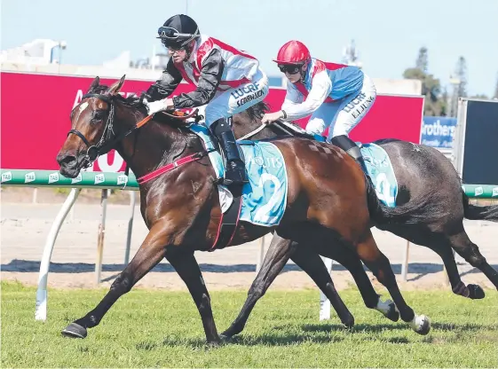  ?? Picture: RICHARD GOSLING ?? Sean Cormack steers Stampe to a breakthrou­gh win for trainer Chris Munce on Saturday.