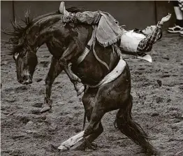  ?? Billy Calzada / Staff photograph­er ?? Tanner Phipps hangs on during the bareback riding event on opening night of the San Antonio Stock Show & Rodeo at the AT&T Center last year.