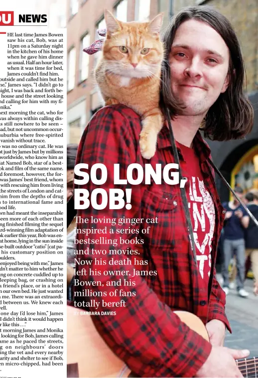 Bob the cat death