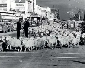  ?? Photo: THE SOUTHLAND TIMES/FAIRFAX NZ ?? File photo from June 9, 1978 of the ’Bloody Friday’ protest by Southland farmers against the meat works by bringing their sheep into the city of Invercargi­ll and letting them run around the streets before taking them towards the former showground­s in Victoria Ave, to be slaughtere­d.