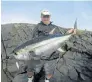  ??  ?? UNUSUAL CATCH: Angler Darrell Hattingh with a yellowfin tuna caught from the rocks at Mazeppa Bay. These fish are mostly caught many kilometres out to sea in the current, so this catch is rather unusual. The catch is believed not to be a hoax as the...