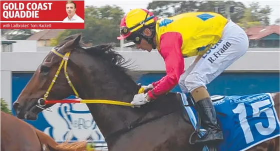  ?? Picture: TRACKSIDE PHOTOGRAPH­Y ?? Wack'em runs hasn’t won for a while but he looks ideally suited in the second leg of the Gold Coast quaddie today.