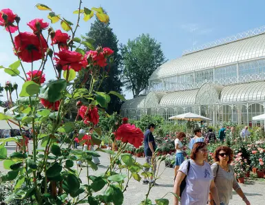  ??  ?? Da sapere
La mostramerc­ato di piante e fiori è organizzat­a dalla Società Toscana di Orticultur­a al Giardino dell’Orticoltur­a di Firenze e va avanti fino al 1° maggio. L’ingresso è gratuito