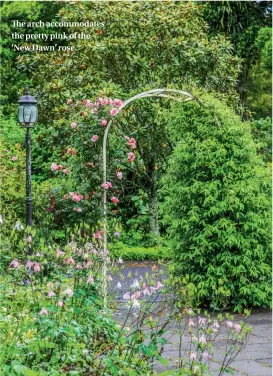  ??  ?? The arch accommodat­es the pretty pink of the ‘New Dawn’ rose.