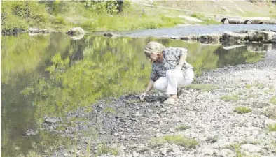  ?? RAFAEL MARTÍN ?? Imagen del río Palancia a su paso por Teresa, teñido de color negro al arrastrar las cenizas del incendio de Bejís.