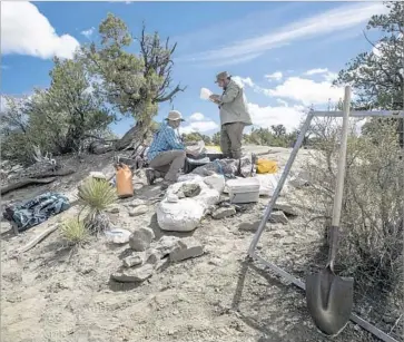  ?? Brian van der Brug Los Angeles Times ?? INTERN ELLIOTT SMITH, left, and Tylor Birthisel, a paleontolo­gist with the Natural History Museum of Utah, work at a dig site on the Kaiparowit­s Plateau in the Grand Staircase-Escalante National Monument.