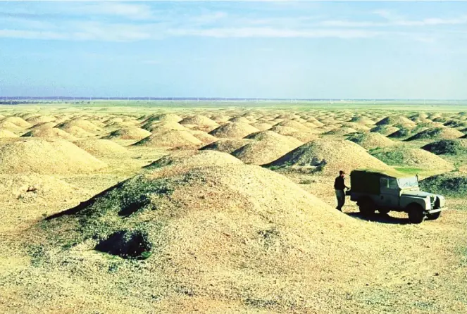  ??  ?? The A’ali Mounds on Bahrain in 1956.