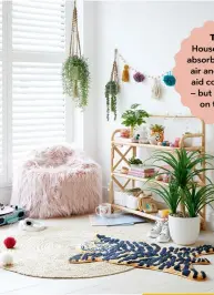  ??  ?? Above Skylar Mongolian faux fur bagel beanbag in blush, £69; French cane shoe rack, £115; Tiger head pot, £12; Tiger bath rug, £14; artificial Yukka in pot, £45; three paper rope organisers, £5, all Dunelm
Top Tip Houseplant­s help absorb toxins in the air and are said to aid concentrat­ion – but no promises on that front!