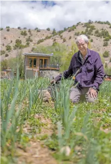  ?? LUIS SÁNCHEZ SATURNO/NEW MEXICAN FILE PHOTO ?? Stanley Crawford with his dog Bucky at his home and garlic farm in Dixon in May.