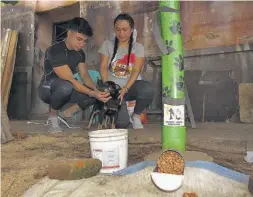  ??  ?? Labor. La iniciativa de los jóvenes ha permitido la colocación de 30 comederos y bebederos para perros que viven en la calle, en Chalchuapa.