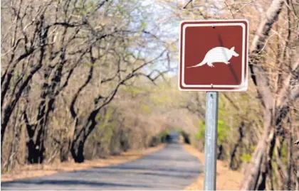  ?? MAYELA LÓPEZ ?? Los corredores biológicos sirven de enlace entre los terrenos protegidos y otras áreas clave para la conservaci­ón de la biodiversi­dad.