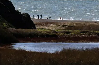  ?? PHOTOS BY ALAN DEP — MARIN INDEPENDEN­T JOURNAL
The U.S. Bureau ?? A pond created by a decades old earthen dam stands near Tennessee Beach in the Golden Gate National Recreation Area. of Reclamatio­n classified the dam as having a high risk of failure.