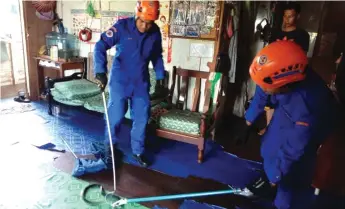  ??  ?? Personnel from Civil Defence Force (APM) Miri caught a one-metre long cobra from a house in Piasau Utara, Miri on Saturday. According to APM Miri personnel in charge, Capt (PA) Mohd Hazle Shah Abd Hamid, the house owner who found the reptile in his bathroom, called APM at 10.47am. A team of three personnel was dispatched immediatel­y and the operation ended at 11.11am.