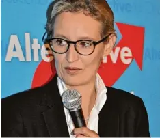  ??  ?? Alice Weidel sprach am Sonntag vor über 500 Zuhörern im Deutschmei­ster in der Do nauwörther Parkstadt.