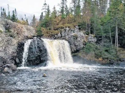  ?? ?? Lori Deeley of Kippens added Cox’s Cove Falls on the of the north shore of the Bay of Islands to her list of 100 swims in October 2021.