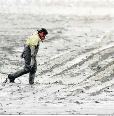  ?? EMILIO MORENATTI / EFE ?? Un operario de Medio Ambiente camina sobre los lodos tóxicos tras el vertido de 1998.