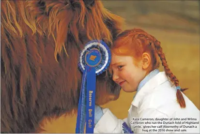  ??  ?? Kate Cameron, daughter of John and Wilma Cameron who run the Dunach fold of Highland cattle, gives her calf Abernethy of Dunach a hug at the 2016 show and sale.