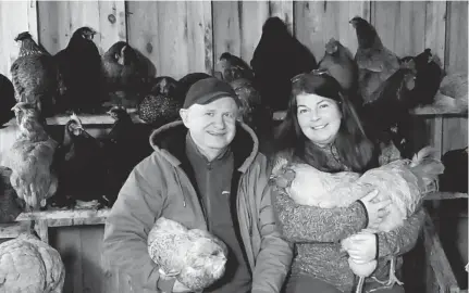  ?? CONTRIBUTE­D PHOTO ?? Lee Hantelmann and Melanie Sora with two of their more than 50 feathered friends at their three-acre Hebbs Cross property. The married couple moved from British Columbia to Nova Scotia to take advantage of affordable homeowners­hip opportunit­ies.