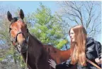  ??  ?? Visitors get to see Triple Crown winner American Pharoah in Versailles, Ky.