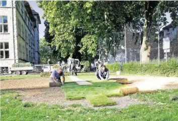  ?? THOMAS GIGER ?? 20 Mitglieder des Quartierve­reins sanierten den Rasen auf dem Schulgelän­de in Eigenregie.