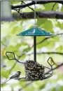  ??  ?? A Carolina Chickadee lands on a seed stack feeder in Meredith Bergstrom’s yard. During the pandemic quarantine, Bergstrom says she’s stocked up on various types of bird feeders, baths and houses and planted a large new pollinator bed for the birds and butterflie­s.