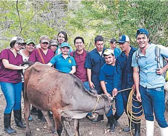 Crece controversia por la calidad de la carrera de Medicina Veterinaria -  PressReader