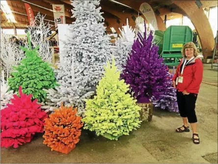  ?? PHOTO PROVIDED ?? Ellms Family Farm owners Chip and Sally Ellms learned about colored Christmas trees during a recent trip to Europe. They plan to display some at the Christmas Tree Growers of New York’s annual summer meeting, which they’re hosting this week.