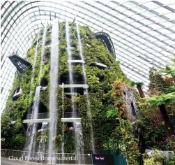  ??  ?? Cloud Forest dome waterfall
