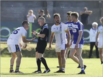  ??  ?? John McGrath is perplexed by the decision that robbed Wicklow of momentum late on in the game.