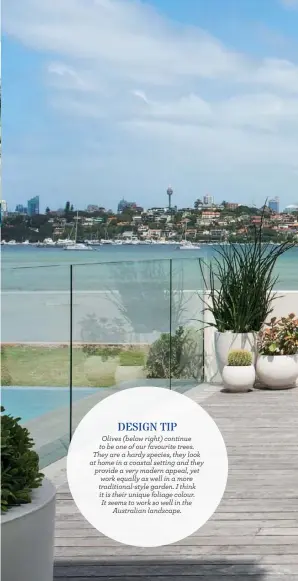  ??  ?? DESIGN TIP
Olives (below right) continue to be one of our favourite trees. They are a hardy species, they look at home in a coastal setting and they provide a very modern appeal, yet work equally as well in a more traditiona­l-style garden. I think it...