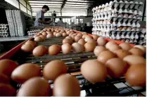  ??  ?? ■ Bachoco es una de las mayores productora­s del país de productos de ave, así como derivados de pavo y res.