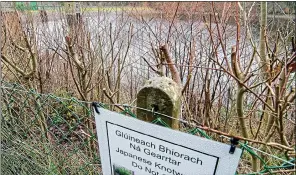  ??  ?? DANGER: Japanese knotweed is growing rapidly at Bohernabre­ena Reservoir