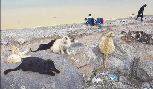  ?? AP ?? In this March 2017 photo, Israelis enjoy the day on the shores of the Sea of Galilee near the northern Israeli Kibbutz of Kinneret. Israel is heading into its fifth consecutiv­e year of drought, putting three celebrated biblical bodies of water at risk,...