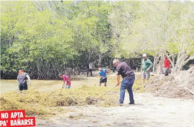  ??  ?? El municipio activó unas brigadas que se encargan de limpiar el área de Playita Rosada, pero la cantidad de sargazo es tanta, que se cerró la zona hasta nuevo aviso como medida cautelar.