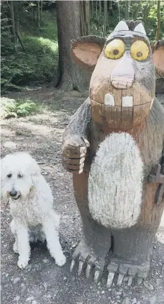  ??  ?? Lulu meets the Gruffalo in Hamsterley Forest.