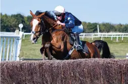  ??  ?? The six-year-old My Little Cecil claims a maiden for owner Tim Sleath