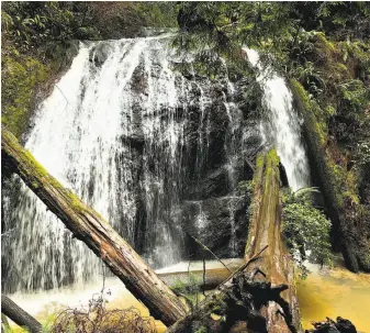  ?? Denese Stienstra / Special to The Chronicle ?? A 35-foot waterfall hidden in Russian Gulch State Park on the Mendocino coast is a prize find. The waterfall has no official name, so we have dubbed it Russian Gulch Falls.