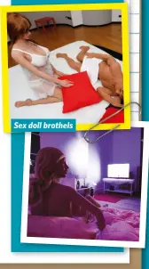  ??  ?? Sex doll brothels