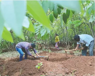  ??  ?? Earappa Bawge, right, a 27-year- old engineer, digs a ditch
last month as part of a rural employment program.