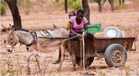  ??  ?? Burkina Faso ist eines der ärmsten Länder der Welt. Der Eselskarre­n ist ein verbreitet­es Transportm­ittel. Das Land könnte von einem Marshallpl­an für Afrika profitiere­n, wie ihn Entwicklun­gsminister Gerd Müller fordert.