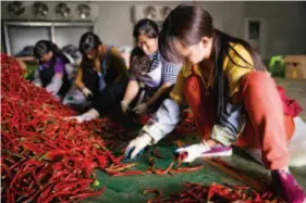 ??  ?? The vegetable sorting workshop of Green Field Co., Ltd. in Anshun City, Guizhou.