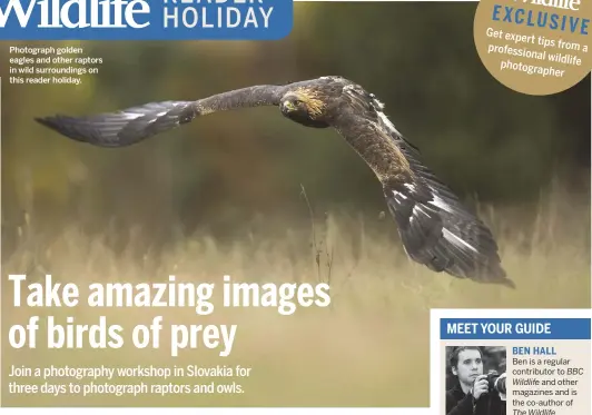  ??  ?? Photograph golden eagles and other raptors in wild surroundin­gs on this reader holiday.