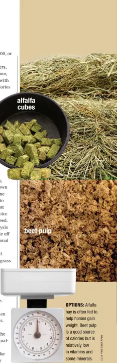  ??  ?? alfalfa cubesbeet pulp testing hay fordryness­OPTIONS: Alfalfa hay is often fed to help horsesh gain weigh weight. Beet pulp is a goodgo source of caloriesca­lo but is relativ relatively low in vitaminsvi­ta and some minerals.