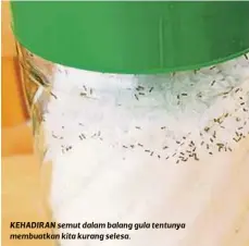  ??  ?? KEHADIRAN semut dalam balang gula tentunya membuatkan kita kurang selesa.