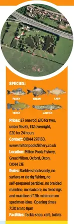  ??  ?? Prices: £7 one rod, £10 for two, under 16s £5, £12 overnight, £20 for 24 hours
Contact: 01844 278150, www.miltonpool­sfishery.co.uk
Location: Milton Pools Fishery, Great Milton, Oxford, Oxon, OX44 7JE
Rules: Barbless hooks only, no surface or zig rig...