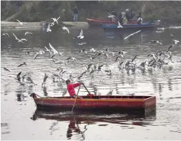  ?? — PTI ?? A boy sails a boat as migratory birds fly over the Yamuna, amid a cold and foggy morning in New Delhi on Sunday.