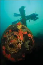  ??  ?? Above: Million Dollar Point Left top to bottom:
Coolidge, Pink Lady Spectacula­r marine life at Twin Bombies The Cathedral Pumpkin life at Hideaway