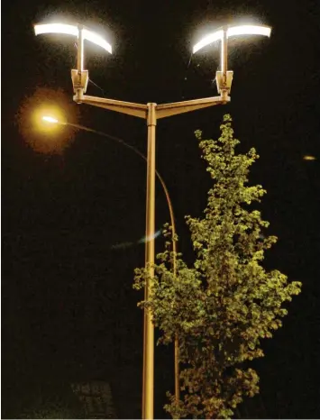  ?? Foto: Hermann Schmid ?? Wenn Bäume zu nah am Lichtmast stehen, bleibt es unter ihnen dunkel. Die Stadt plant den Umstieg auf eine energiesch­onende LED-Straßenbel­euchtung und will dabei auch solche ungünstige Nachbarsch­aften angehen.