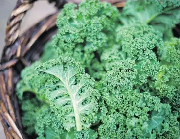  ??  ?? You can sow or transplant kale, chard and cabbage now for later harvesting.