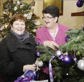  ??  ?? Breda Murphy and Maureen O’Toole with the Purple House tree.